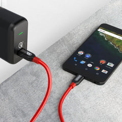 PowerLine+ USB-C to USB-C 2.0 Cable (6ft)