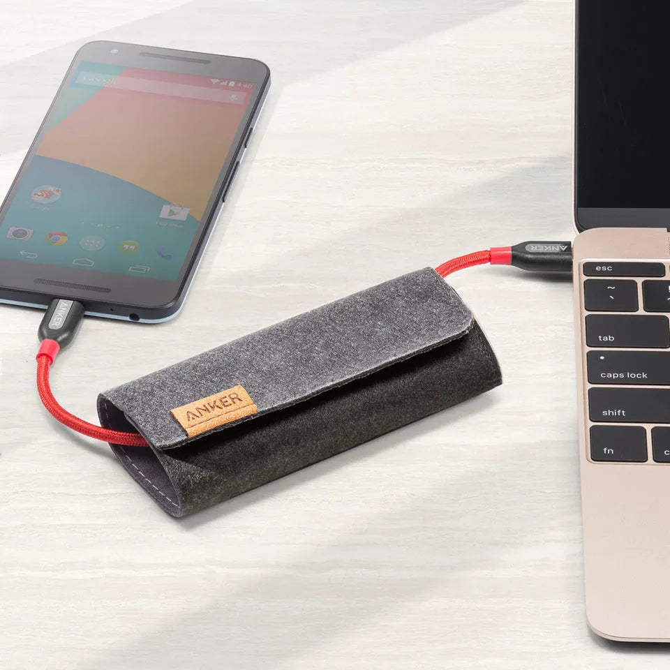 PowerLine+ USB-C to USB-C 2.0 Cable (6ft)